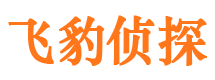 道县市私家侦探